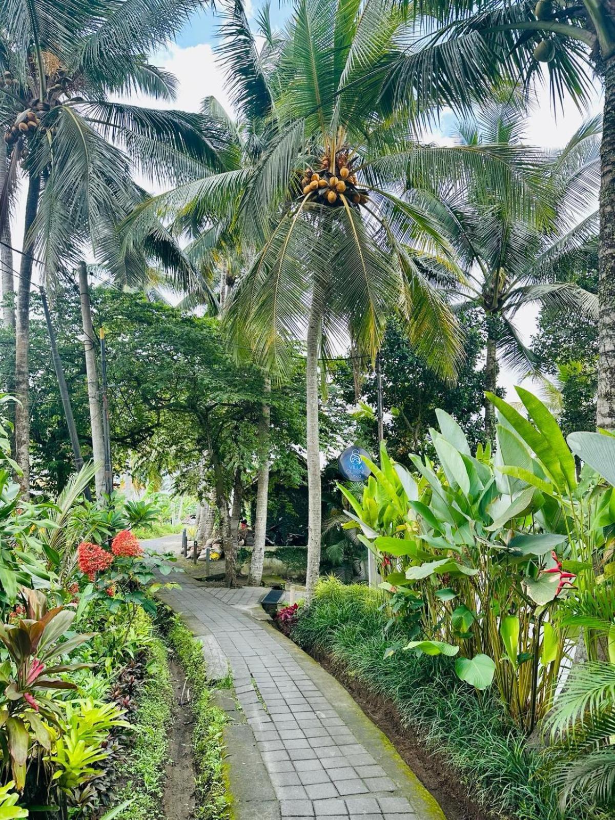 Villa Olirine By Balisuperhost อูบุด ภายนอก รูปภาพ